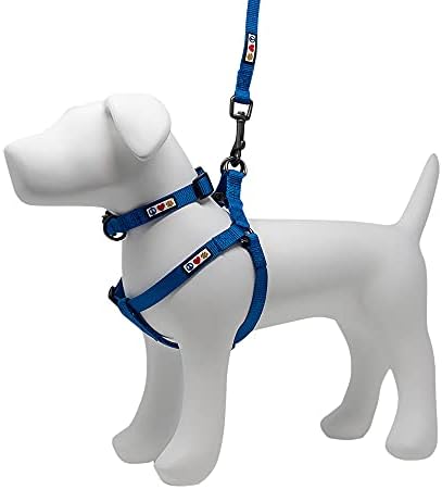 ערכת חבילות ערך Pawtitas | צעד בינוני ברתמת כלבים + צווארון כלב בינוני + רצועה של כלב בינוני/גדול 6ft - סט כחול